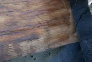 小屋裏の結露で垂木に腐朽菌の発生