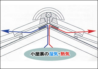 アンダーコンポ換気棟の断面図